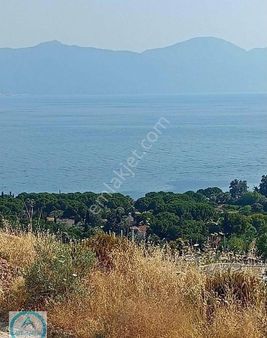 Atlantik Gayrimenkul Den Kuşadası Havuzlu Sitede Kiralık Daire