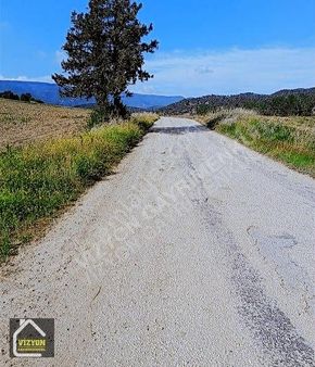 Ana Yola Cephe Arka Tarafı Ormana Cephe Köye Yakın 5280,m2,arsa