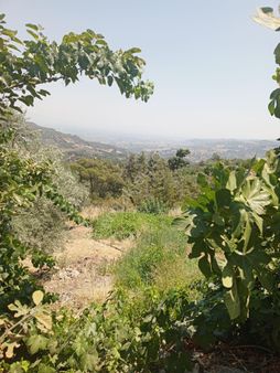 Manisa Salihli Gökeyüp Mah Satılıktsrla