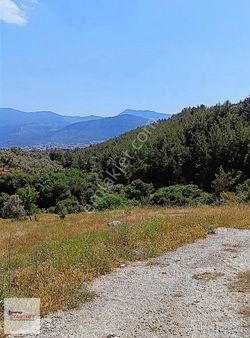 Startkey Star'dan Doganin İçinde Harika Konumda Arsa