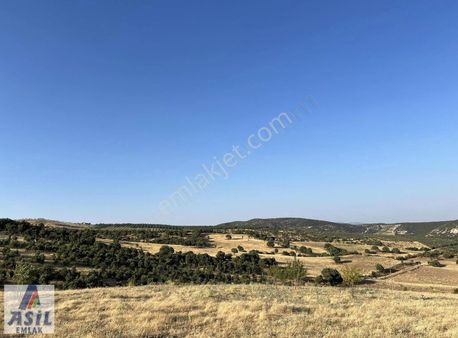 Sanayi İmarına Yakın 6.400m2 Satılık Bahçe