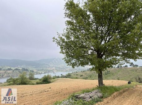 Horzum Köyü'nde Satılık 5.500m2 Bahçe