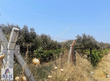 9. Mıntıka Satılık 4.230m2 Sanayi Arsası