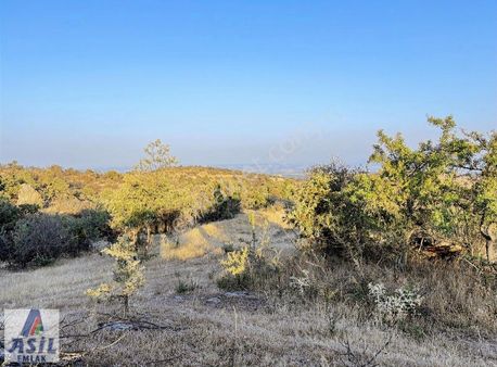 638.000m2 Köprübaşı'nda Satılık Tarla