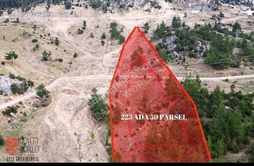 Konyaaltı Üçoluk Mahallesi Satılık Tarla