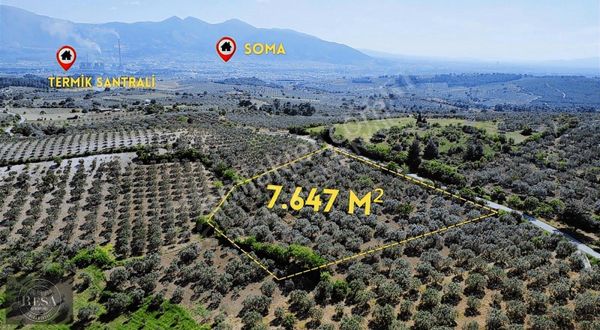 Resa Gayrimenkul'den Büyükgüney'de 7,5 Dönüm Satılık Zeytinlik