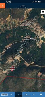 İznik Hisardere'de Satılık 12.700 M2 Asfalt Yola Cephe Arazi