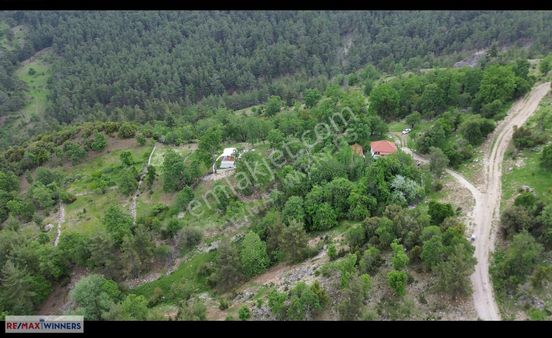 Gölcük Mah. Fındıklı Mevkii 172m² Doğa İçinde Hobi Bahçesi