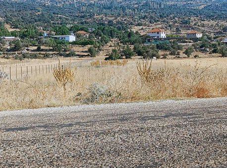 Acil Satılık ! Seki De Satılık Tarla( Yer Olarak Kaçirmayin )