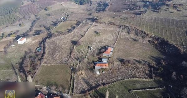 Eysu Karaca'dan Konya Tuzlukçu Da 16.550 Metre Satılık Tarla..