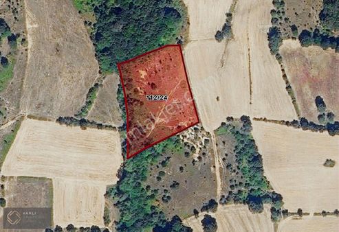 Balıkesir Susurluk Gürece'de Yatırımlık Fırsat Arazi