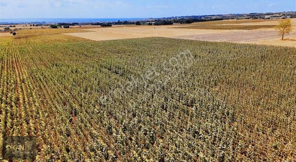 Gümüşyaka'da Satılık Müstakil Tarla