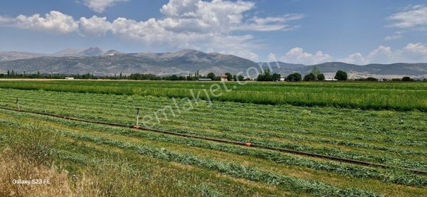 Isparta Atabey İslamköy,de 37. Dönüm Satılık Tarla