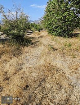 İşte Fırstattt!!!!670m2 Ceviz Bahçeci