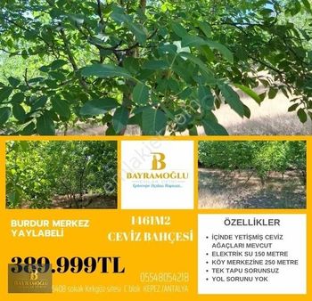 Acilllll!!!!1461m2 Ceviz Bahçesi