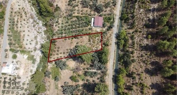 Seydikemer Kıncılar'da Satılık Arazi