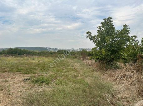 Kayapa İstiklalde Yerleşim Bölgesine Yakın Yatırıma Uygun Arazi
