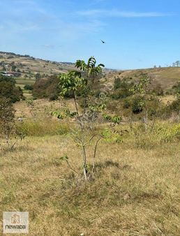 Kandıra Hıdırlar Mah. Satılık 2.468m2 Yatırımlık Tarla