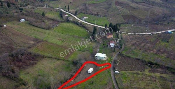 Karamürsel Akçata Satılık Meyve Bahçesi