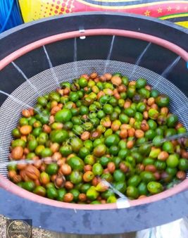 Karamürsel Kadriye Mahallesi'nde Satılık Arsa (ceviz Bahçesi)