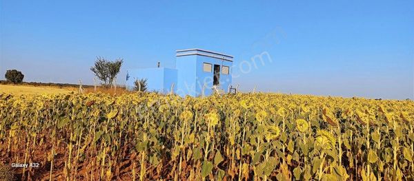 Kırklareli Vize Doğancada Muhteşem Konumda Satılık Tek Tapu