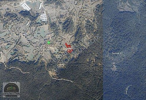 Çamlıoğlu Gayrimenkul'den - Pelitçik Köyünde - 4.667 M2 Tarla