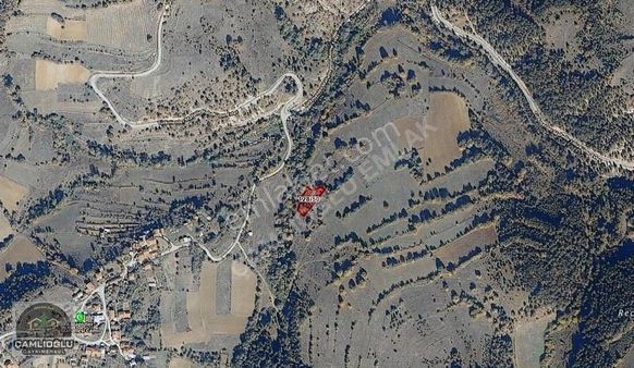 Çamlıoğlu Gayrimenkul'den - Pelitçik Köyünde - 1.307 M2 Tarla