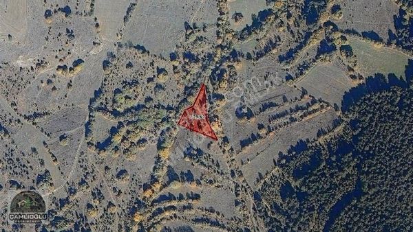 Çamlıoğlu Gayrimenkul'den - Pelitçik Köyünde - 1.763,42 M2 Tarla