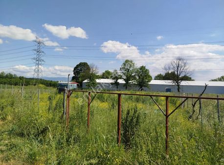 Alemdar Gayrimenkul Hendek A.çalıca Mah.satılk Resmi Yollu Tarla