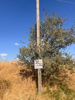 Çınar Emlak'tan Satılık Arazi-tarla