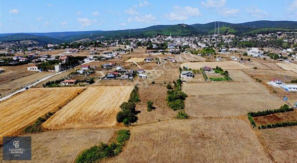 Binkılıç Atatürk Mahallesinde Tek Tapu Satılık Arazi