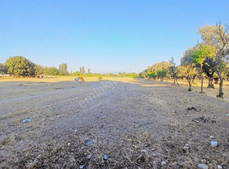 Yatırım İçin Cazip Arsa