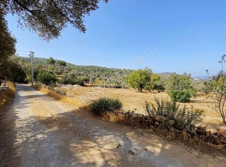 Bodrum Yalıçiftlik Emsal 10 Konut İmarlı Müstakil Villa Arazisi