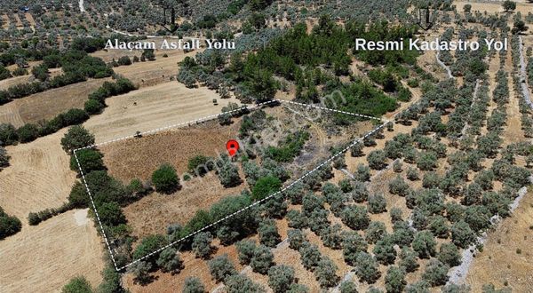 Milas Söğütçük'te Yatırım Değeri Yüksek Yolu Olan Müstakil Tarla