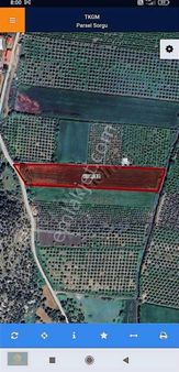 Lavinia Gayrimenkulden Muğla Ortaca Yeşilyurt Satılık Tarla