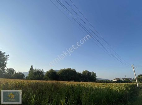 Dalaman'da Merkezi Konumda 896 M² Köşe Parsel Kaçmaz Fırsat!