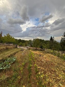 Bengisu Gayrimenkul Den Kestelde Satılık Tarla