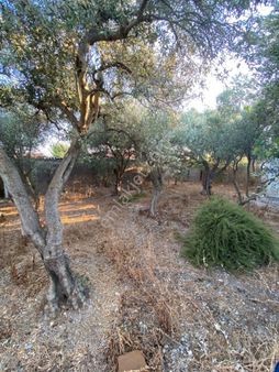 Rahmiye Mah Satılık Müstakil Ev (emin'den)