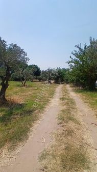 Erdek Düzlerde Merkezde Satılık Süper Yer.