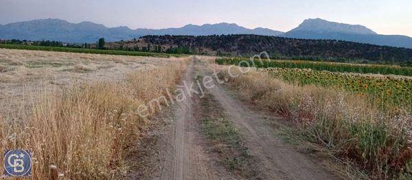 Konya Seydişehir Kavak Mahallesinde Satılık Tarla