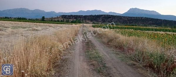 Konya Seydişehir Kavak Mahallesi