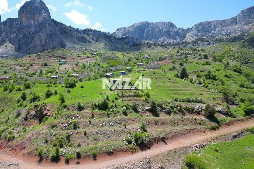 Alanya Şıhlar Yaylası'nda 1.116 M² Satılık Tarla
