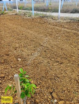 Torbalı Bozköy' De 400 M2 Tarla