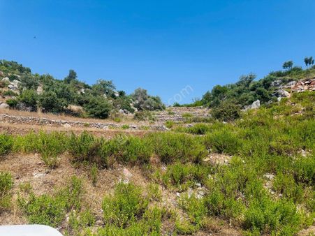 Alanya Gözübüyük Te Doğayla İç İçe Yatırımlık Satılık Arazi