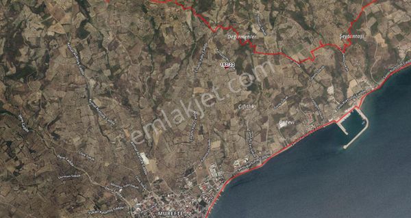 Satılık Zeytinlik Tarla – Mürefte / Şarköy