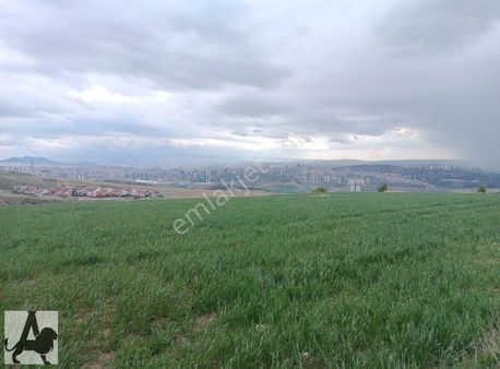 Ali Bey'den Kuzey Yıldızı Cadde Üzeri Konut+ticari 281 M2 Hisse