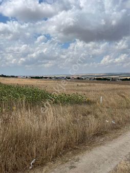 Silivri Balabanda Villaların Dibinde İmarlı Arsalar