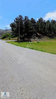 Hazar'dan Eşsiz Konumda Yatırıma Uygun Villa İmarlı Arsalar