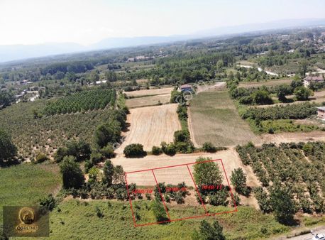 Öğretmen'den Otogara Ve Otobana Çok Yakın Konumda 3 Parsel Arsa