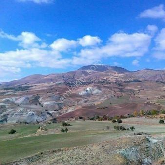 Ayaş Gökler De Fırsat Bahçe